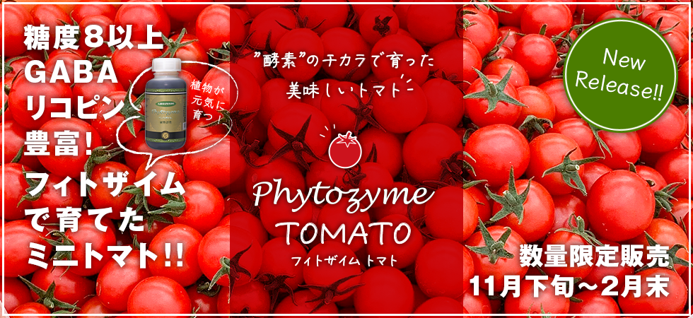 【新商品】フィトザイムトマト発売のお知らせ